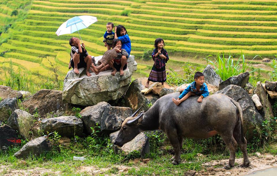 Sapa Tour: Trekking Lao Chai - Ta Van in Sapa 1-day tour