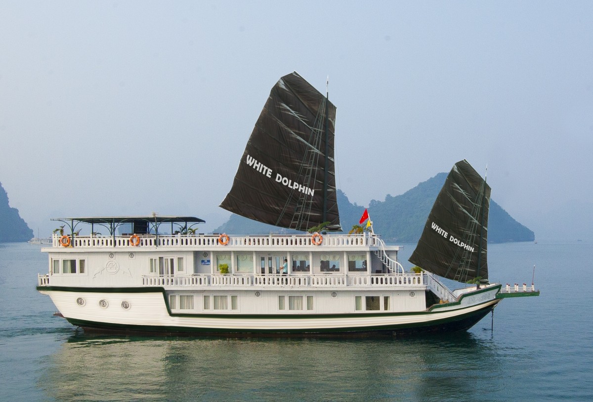 White Dolphin cruise  2 days 1 night ( overnight on the boat )